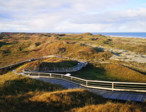 🧘‍♀️Yoga zu Weihnachten 2025 🎄 und was kommt in 2026/ 27 🎆