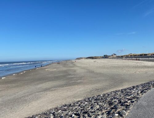 Bewegung und Ernährung entscheiden über Leben oder Tod